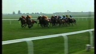 1993 2000 Guineas Stakes [upl. by Leilah120]