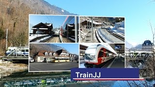 Züge InterlakenOst │Zentral Bahn │Goldenpass line Switzerland │ LuzernInterlaken Express [upl. by Johnathan]