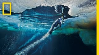 Emperor Penguins Speed Launch Out of the Water  National Geographic [upl. by Tutt4]