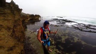 The Whale Trail  A blowhole through the eyes of a GoPro [upl. by Eiramana]