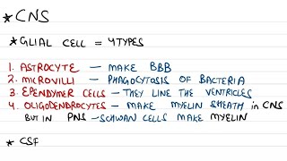 Physiology Rapid Revision  Fmge amp Mbbs Students  physiology neet mbbs fmge medical student [upl. by Enitnemelc]