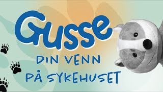 Gusse – Din venn på sykehuset [upl. by Safko313]