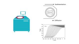 Introduction to Analytical Ultracentrifugation AUC 101 [upl. by Yenor]