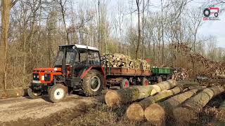 Forest Worker Zetor 5211 [upl. by Nichy]