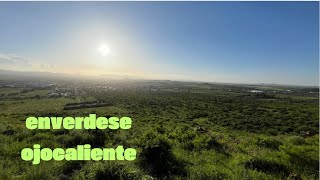 “ENVERDECE” OJOCALIENTEZACATECAS GRACIAS alas LLUVIAS ☘️🌿🌳  coique vlogs [upl. by Cerelia]