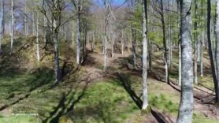 MONTES Y BOSQUES DESDE UN DRONE UHD 4K [upl. by Quintie]