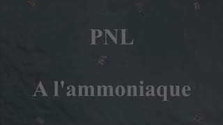 PNL  A lAmmoniaque INSTRUMENTAL remake sample [upl. by Namyac283]