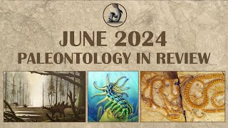 June 2024 Paleontology in Review [upl. by Vial358]