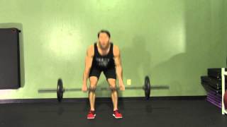 Barbell Conventional Deadlift  HASfit Dead Lift Exercise  Proper Deadlift Form [upl. by Pardner]