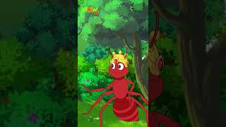 Hathi Aur chinti  06  Popular Hindi Stories for Kids  Wow Kidz  CM [upl. by Anidan]