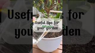 Useful tips for your Garden shorts milk sugar vinegar orto rooting nutrients fertilizer [upl. by Monroy410]