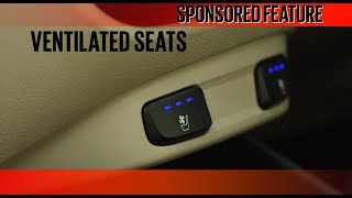 Hyundai Verna  Ventilated Seats  Sponsored Feature [upl. by Nyla392]