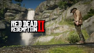 Red Dead Redemption 2  Part 11  IM DYING [upl. by Anastassia]