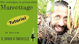 Multiplier simplement et efficacement vos plantes en Permaculture  Les Marcottes [upl. by Aronid]