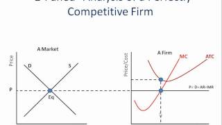 Perfect Competition Firms Operating at a Loss [upl. by Ivett957]