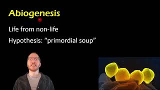 Biology Spontaneous Generation vs Biogenesis [upl. by Eciram]