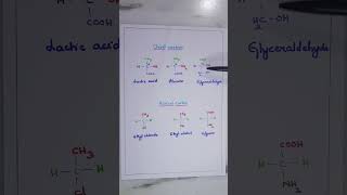 Chiral carbon and Achiral carbon Stereochemistry of Carbon compounds BSc General Chemistry [upl. by Levison637]