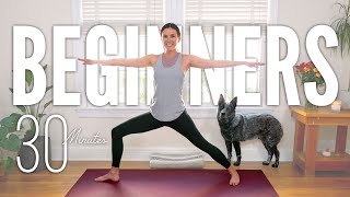 30Minute Yoga For Beginners  Start Yoga Here [upl. by Hindu]