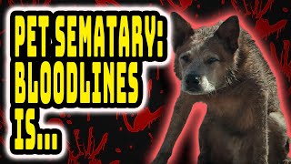 Pet Sematary IRL [upl. by Essam932]