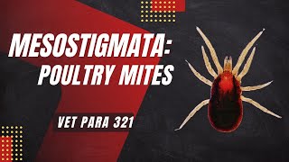 VET PARA 1  Mesostigmatid Mites Poultry Mites  Chapter 82 [upl. by Acisej546]