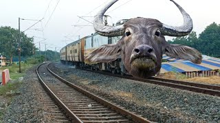 Dangerous Buffalo Headed Intercity Express Furious Moving Throughout At Curved [upl. by Yelrehs]