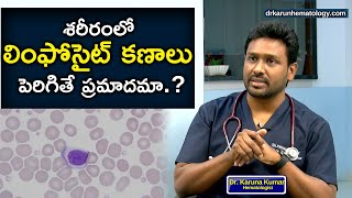 Reasons For High Lymphocyte Count  Lymphocytosis  Dr Karuna Kumar  Hematologist [upl. by Jezrdna254]