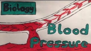 Blood Pressure Explained [upl. by Burroughs210]