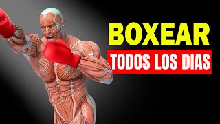 ✅ Qué Le Pasa A Tu Cuerpo Si Empiezas A Boxear Todos los Días  Beneficios de Boxear [upl. by Suirtimed]