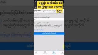 How To View Items Date Expiry Data Result Myanmar App [upl. by Noyk]