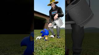 Help the MrBeast raise Sonic [upl. by Reginald]