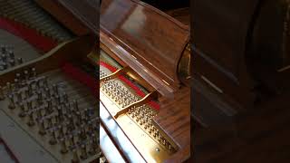 Steinway B Grand Piano at Classic Pianos Portland [upl. by Joub]