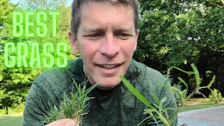 Pros and Cons of Bermuda Zoysia Centipede and St Augustine Grass [upl. by Piers]