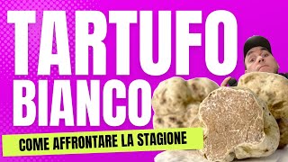 Tartufo BIANCO Come affrontare la stagione [upl. by Whetstone]