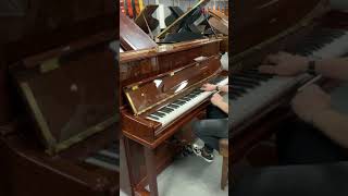 Steinhoven upright piano [upl. by Aiuqcaj]