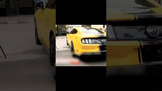 D boss all cars video dboss darshanthoogudeepa [upl. by Ssecnirp521]