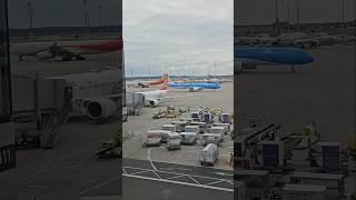 Berlin Brandenburg Airport aviation foryou airport explore shortvideo fyp [upl. by Hussey525]