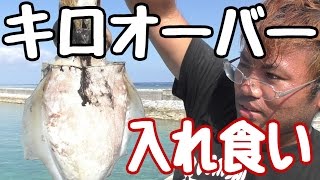 【入れ食い】所持金0円で釣り生活 12話【伊是名島編】 [upl. by Durgy]