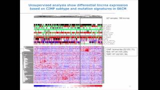 Profiling Long Intergenic NonCoding RNA Interactions In The Cancer Genome  Samir Amin [upl. by Aniratak]