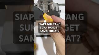 Siapa yang suka makan tomat Lihat dulu dengan microscope yuk [upl. by Lux]