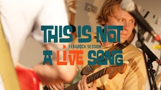 This is Not a LiVE Song Ferarock Sessions  TY SEGALL [upl. by Atsugua781]