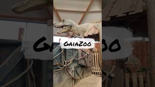 Ausflug zum gaiazoo Kerkrade tiere zoo happy [upl. by Territus]