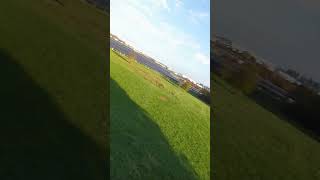 Caddx GoFilm 20 FPV drone shorts drone fpv chill [upl. by Adliwa]