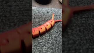 3D printed slug 3dprinting slugs ￼ [upl. by Nayllij828]