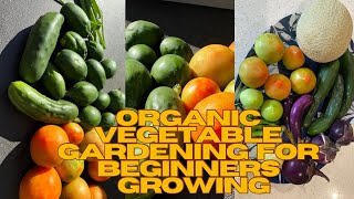 How To Plant and Maintain Organic Vegetables In Back Yard Garden Tips Layout Planting Harvesting [upl. by Kirbee513]