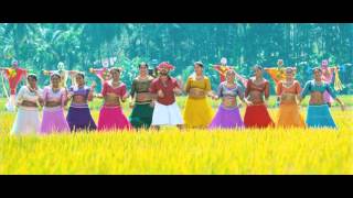 Birthday song  Status song  Malayalam song  Wedding song  Tharaat song  Sunnath song [upl. by Ilaire695]