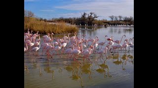 La Camargue [upl. by Agosto]