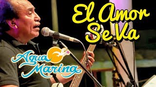 Agua Marina  El Amor Se Va En vivo [upl. by Aleik868]