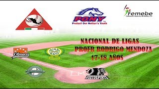 LIGA SUR DE SINALOA MAZATLÁN vs LIGA OLMECA CDMX FINAL [upl. by Rotman974]