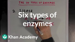 Six types of enzymes  Chemical Processes  MCAT  Khan Academy [upl. by Apul283]