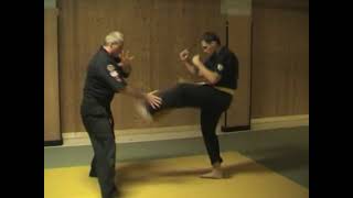 Kempo Jitsu Basics [upl. by Guimar]